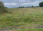 Działka rolna o powierzchni 6000 m2. miniaturka 2