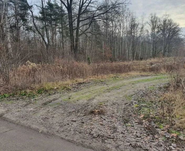 Działka do wynajęcia, dowolny cel. miniaturka 4
