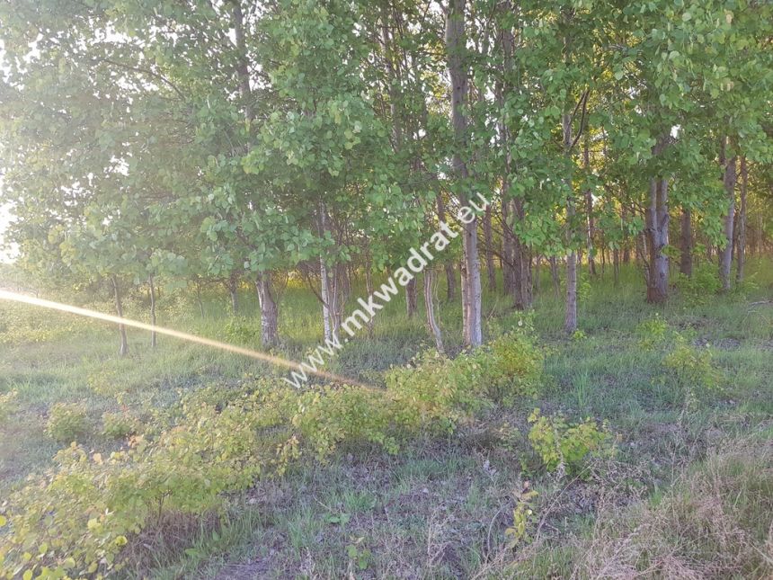 działka 800 m od szkoły miniaturka 7