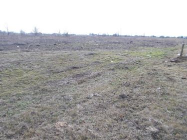 Ożarów Mazowiecki, 20 000 zł, 1.4 ha, droga dojazdowa asfaltowa