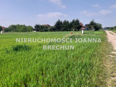 Nieciszów, 180 000 zł, 10.32 ar, budowlana