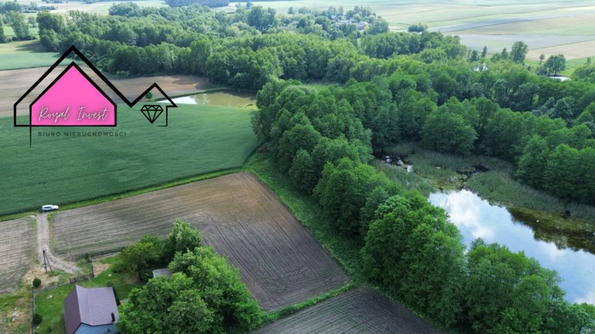 Dobrosołowo 99 000 zł 10 ar miniaturka 7