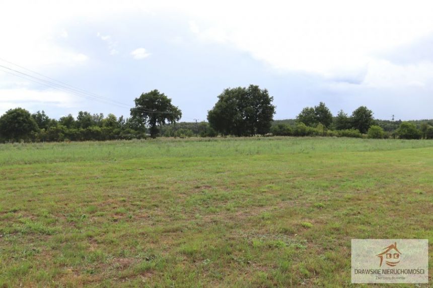 Nętno, 138 000 zł, 31 ar, rolno-budowlana miniaturka 8