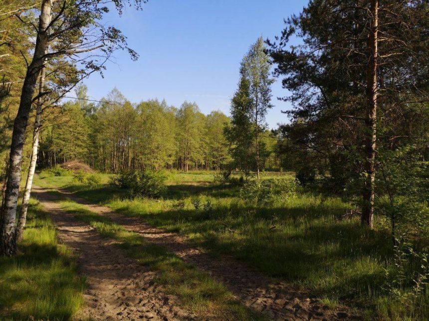 Działka pod zabudowę pensjonatową w Karwicy miniaturka 6