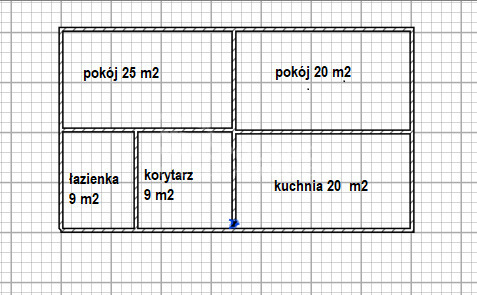 Ciche siedlisko w Radziejowie z dużą działką 1ha miniaturka 14