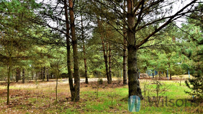 Ludwinów, 93 900 zł, 12.52 ar, rekreacyjna miniaturka 2