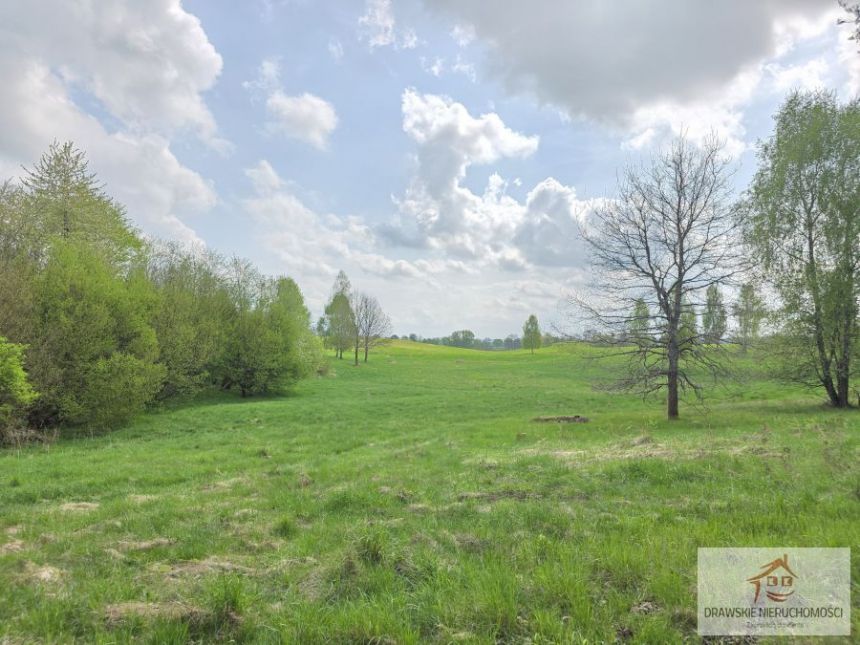 Nowe Worowo, 430 000 zł, 3.69 ha, droga dojazdowa asfaltowa miniaturka 6