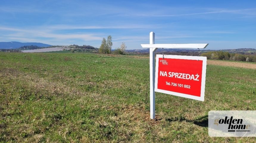 Krzewie Wielkie, 160 300 zł, 16.03 ar, prostokątna - zdjęcie 1