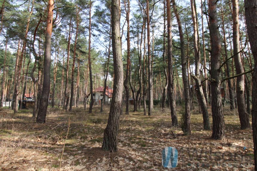 Józefów, 3 200 000 zł, 31.51 ar, przyłącze prądu miniaturka 5