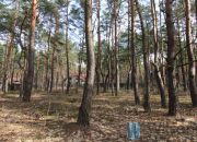 Józefów, 3 200 000 zł, 31.51 ar, przyłącze prądu miniaturka 5