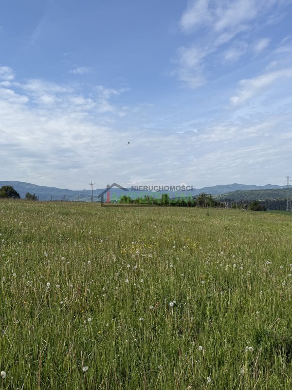 Juraszowa, 180 000 zł, 10.66 ar, budowlana - zdjęcie 1