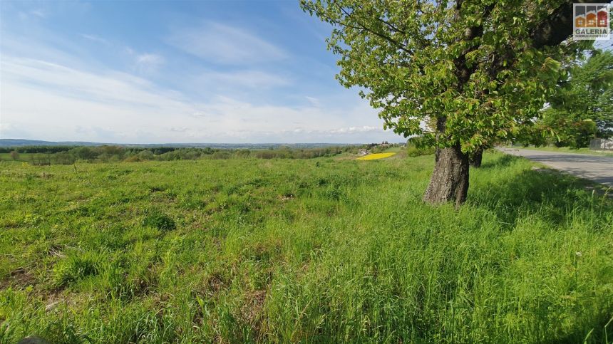 Budziwój, ul.Podleśna widokowa działka z WZ 888m2 miniaturka 4