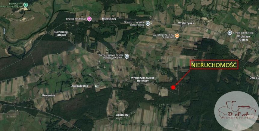 Działka 2400 m2 ha na skraju parku krajobrazowego miniaturka 6