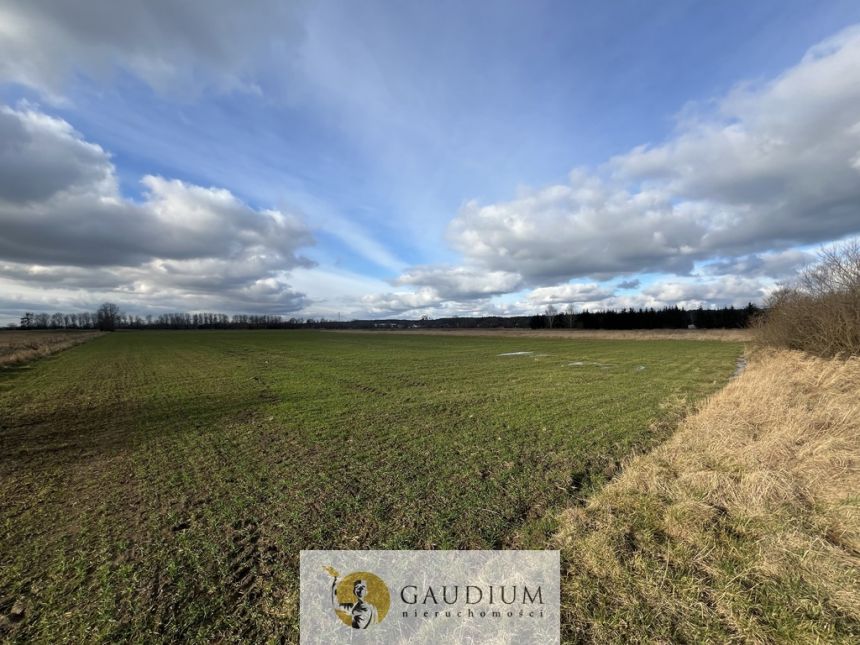 Działka 4600 m2 Sobieszewo ul. Uzdrowiskowa miniaturka 2
