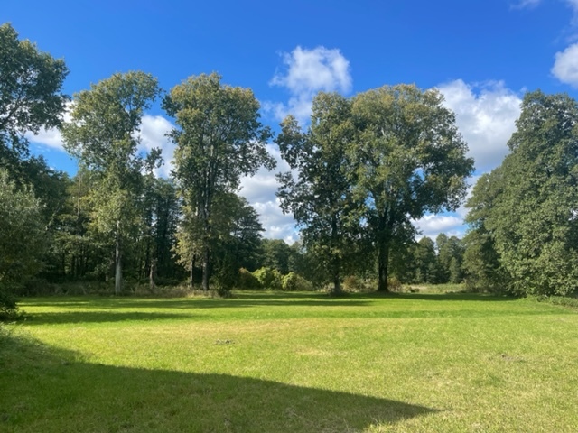 Budowlana 2,6 ha nad Bugiem 30 km od Warszawy miniaturka 2