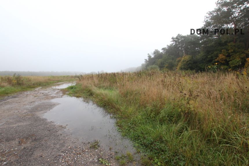 DZIAŁKI INWESTYCYJNE W POWIECIE ŁĘCZYŃSKIM miniaturka 1