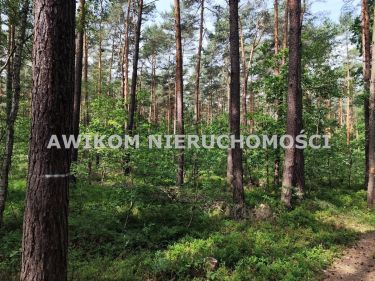Grabina Radziwiłłowska, 400 000 zł, 1.5 ha, budowlana