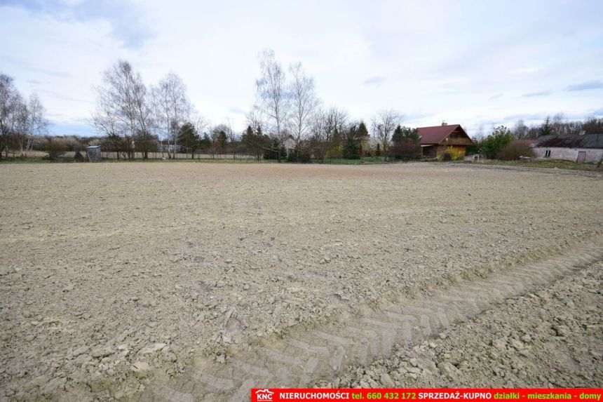 Atrakcyjne działki blisko Lublina i lasu i rzeki. miniaturka 5