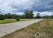 Dębówka, 2 476 500 zł, 3.81 ha, droga dojazdowa asfaltowa miniaturka 12