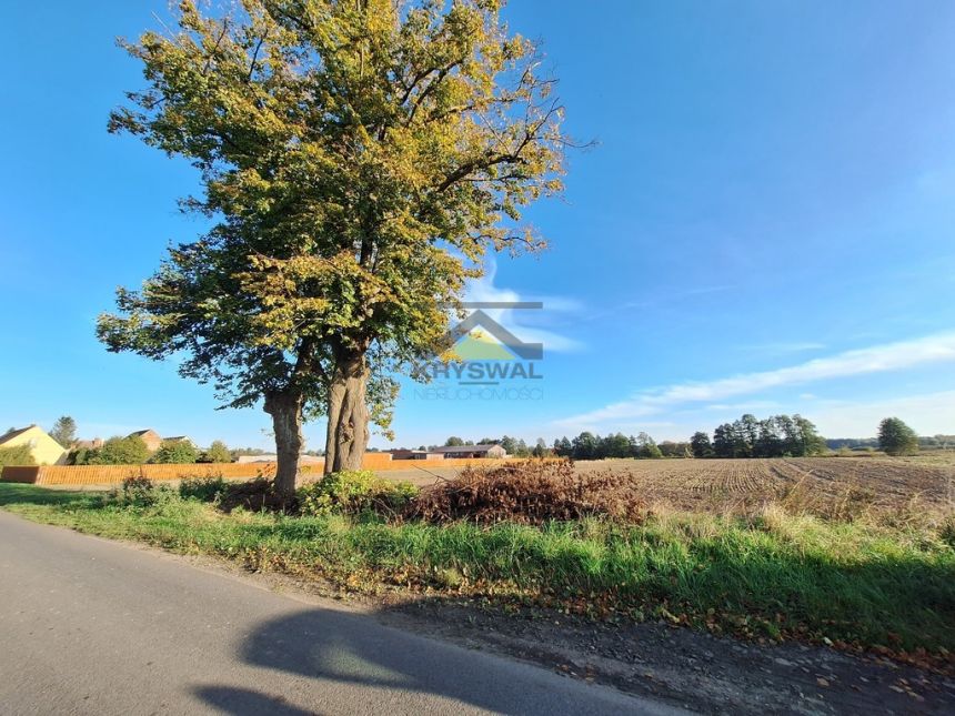 Działka z warunkami zabudowy, 2 km od jeziora! miniaturka 7