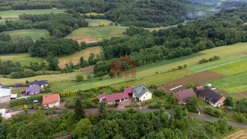 Działka budowlana z widokiem na iglasty las miniaturka 3