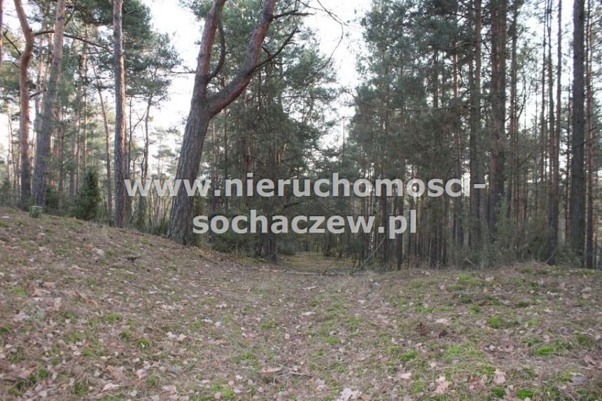 Radziwiłka, 1 656 420 zł, 16.56 ha, rolna z prawem zabudowy miniaturka 6