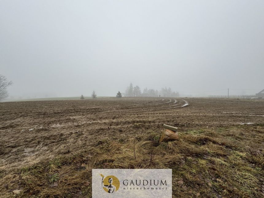 DZIAŁKI KASZUBY 1000 m2 GMINA SZEMUD! - zdjęcie 1