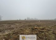 DZIAŁKI KASZUBY 1000 m2 GMINA SZEMUD! miniaturka 1