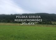 Jaworek, 269 000 zł, 21.21 ar, przyłącze elektryczne miniaturka 5