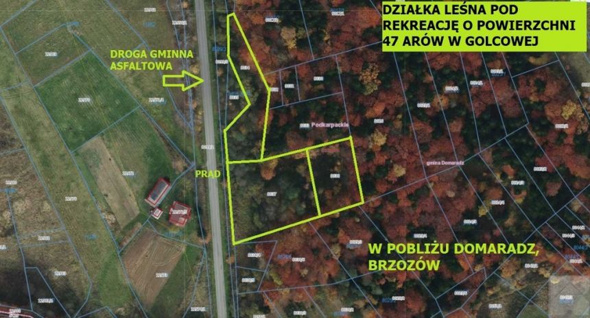 Golcowa - działka leśna o pow. 47 arów - zdjęcie 1