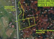 Golcowa - działka leśna o pow. 47 arów miniaturka 1