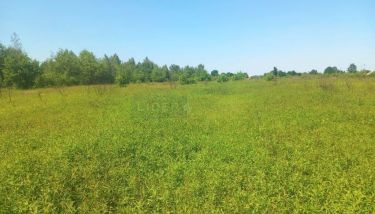 Dziekanów Polski, 594 000 zł, 12 ar, płaska