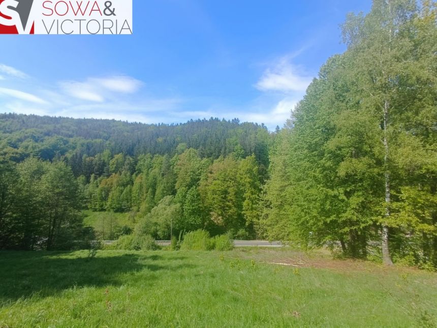 Widokowa działka w sąsiedztwie jeziora - ok 1 km miniaturka 4