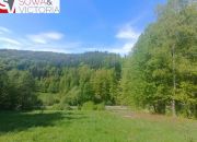 Widokowa działka w sąsiedztwie jeziora - ok 1 km miniaturka 4