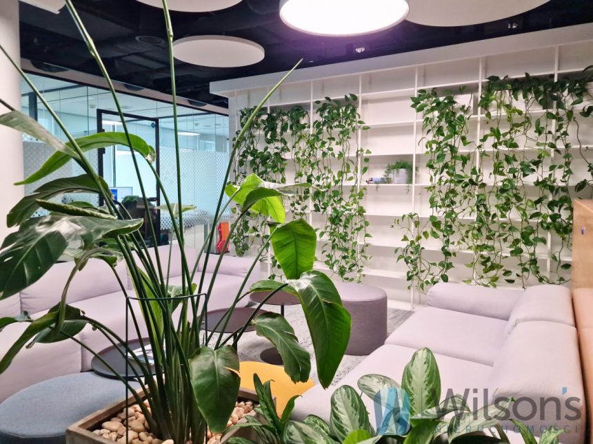 Warszawa Wola, 7 800 zł, 60 m2, pietro 6, 8 miniaturka 21