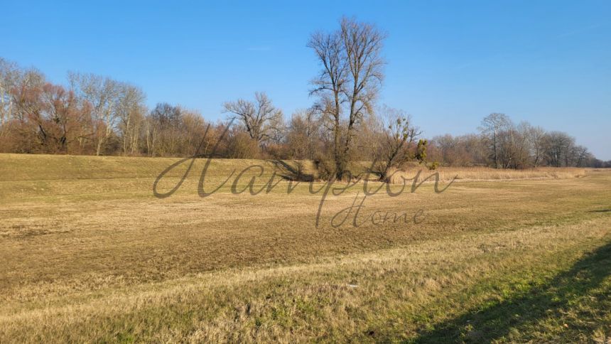 Kromnów, 868 950 zł, 2.9 ha, droga dojazdowa gruntowa miniaturka 6