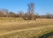 Kromnów, 868 950 zł, 2.9 ha, droga dojazdowa gruntowa miniaturka 6
