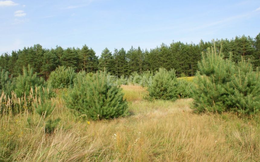 Trzęsów, 39 000 zł, 4.01 ar, budowlana miniaturka 7