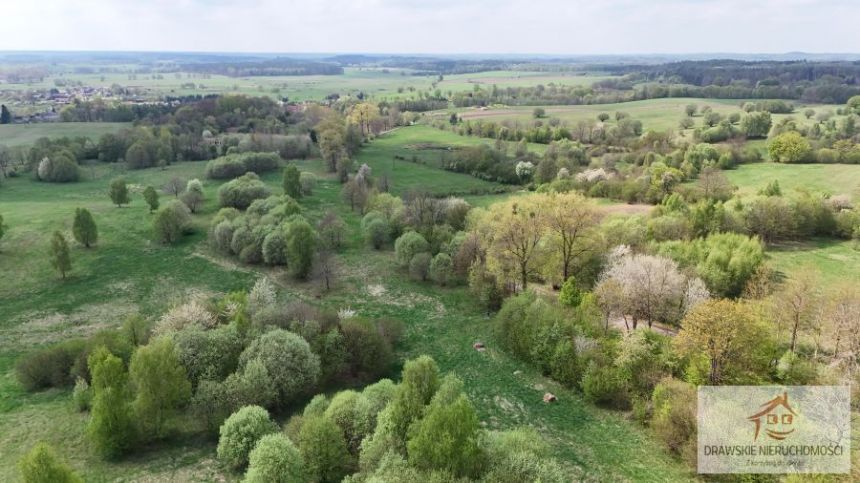 Nowe Worowo, 430 000 zł, 3.69 ha, droga dojazdowa asfaltowa miniaturka 14