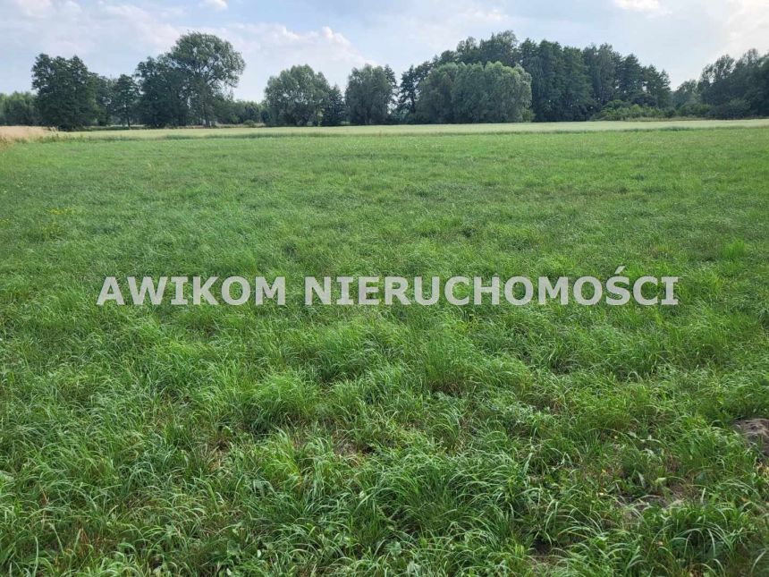 Holendry Baranowskie, 154 840 zł, 11.06 ar, woda w drodze miniaturka 8