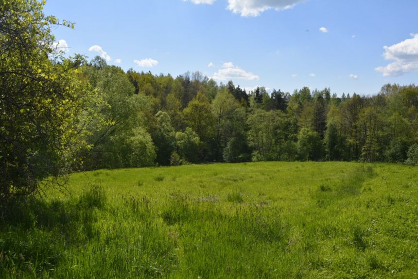 Zawada, 350 000 zł, 65 ar, przyłącze prądu miniaturka 25