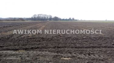 Guźnia, 220 000 zł, 2.2 ha, rolna