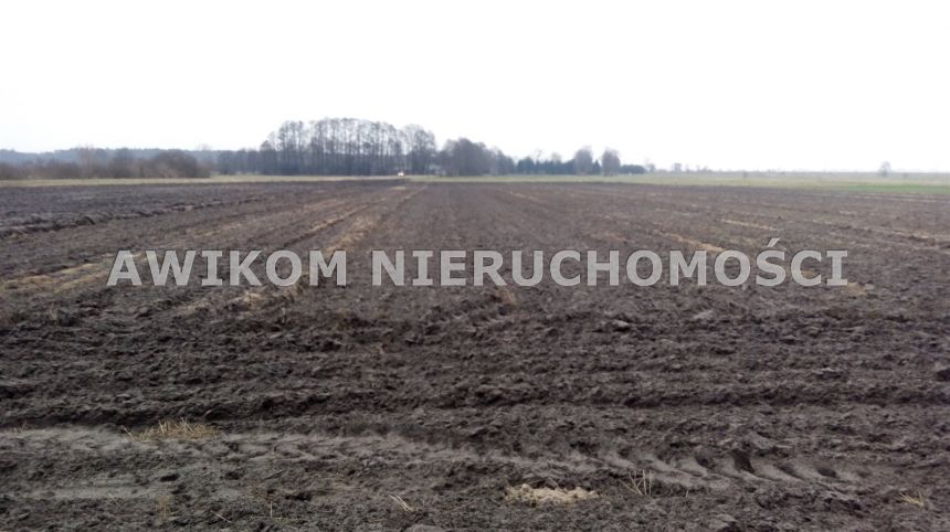 Guźnia, 220 000 zł, 2.2 ha, rolna - zdjęcie 1