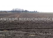Guźnia, 220 000 zł, 2.2 ha, rolna miniaturka 1