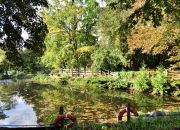 AGROTURYSTYKA, RESTAURACJA, SZKOLENIA. miniaturka 4