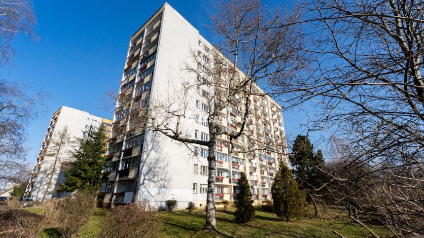 Cisza, widok, balkon,tramwaj - kawalerka miniaturka 20