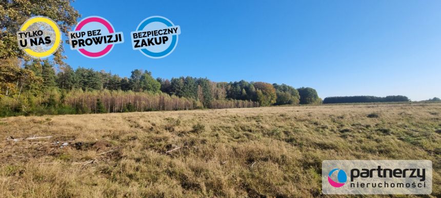 Bieszkowice, 480 000 zł, 2.69 ha, rolna miniaturka 11