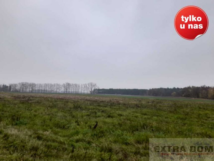 Płoty, 281 000 zł, 8.5 ha, płaska miniaturka 3