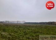 Płoty, 281 000 zł, 8.5 ha, płaska miniaturka 3