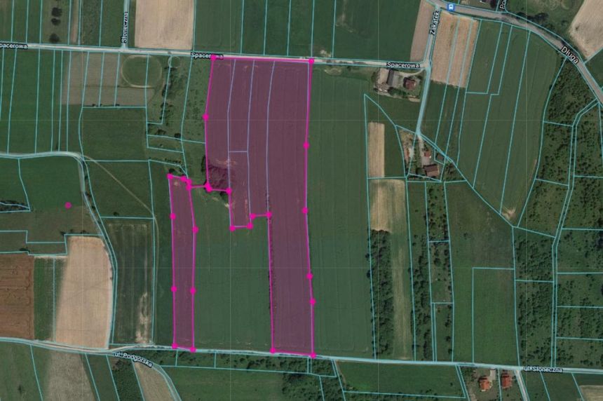 Nielepice, 650 000 zł, 4.28 ha, prostokątna miniaturka 2